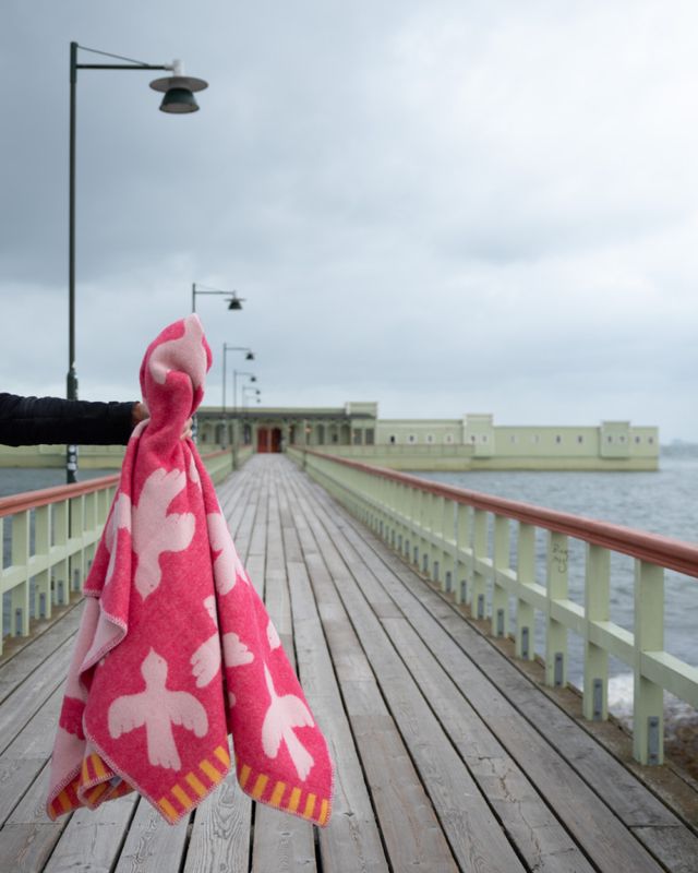 Ullpledd FUGL - pink/lysrosa